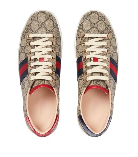 do gucci sneakers stretch out|Gucci takkie price.